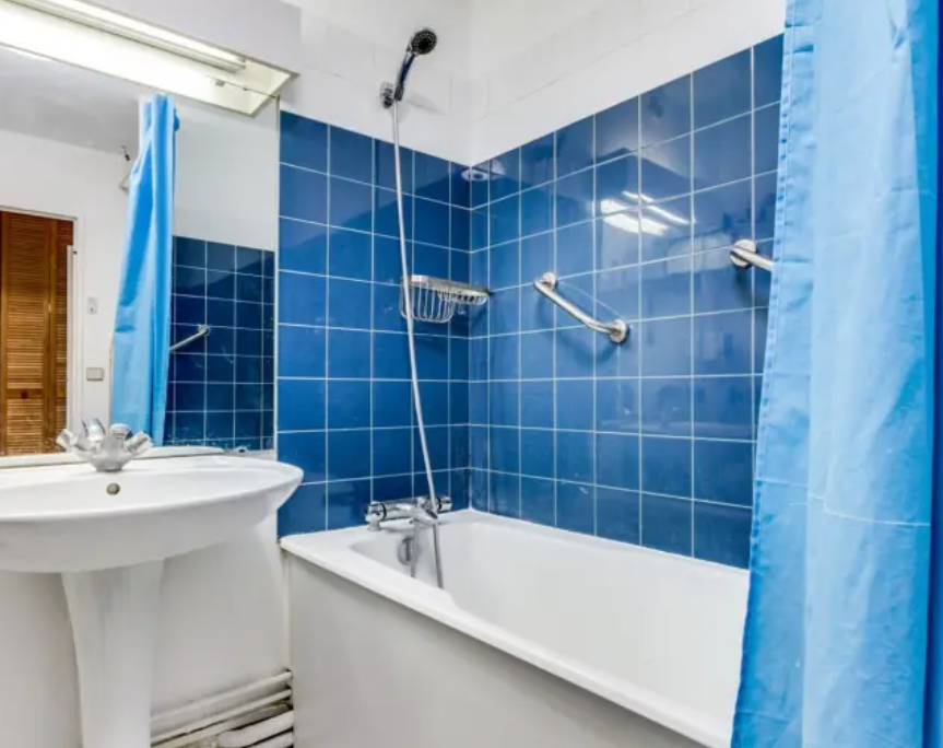 Kolokasie Massy 245096