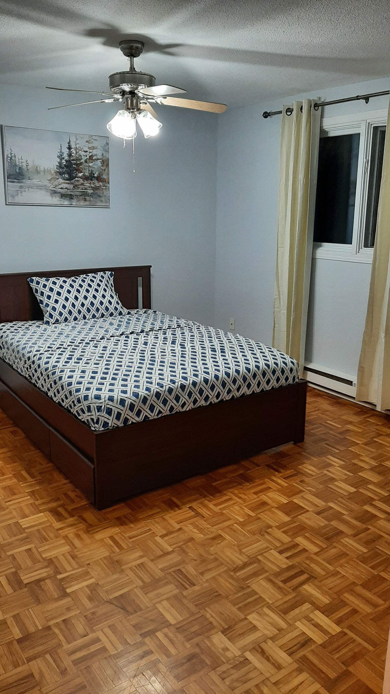 Kolokasie Gatineau 496686