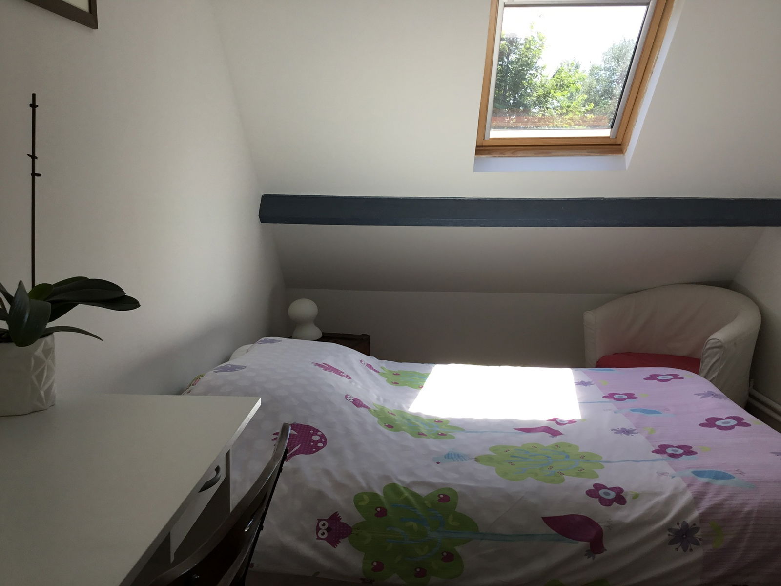 Homestay Bihorel 170261