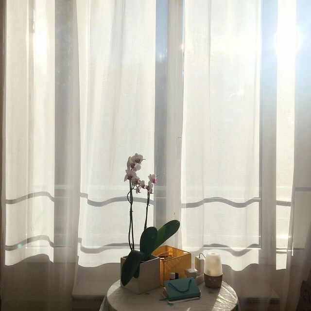 Homestay Paris 93988