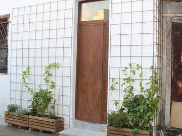 Logement Entier Palermo 239422-5