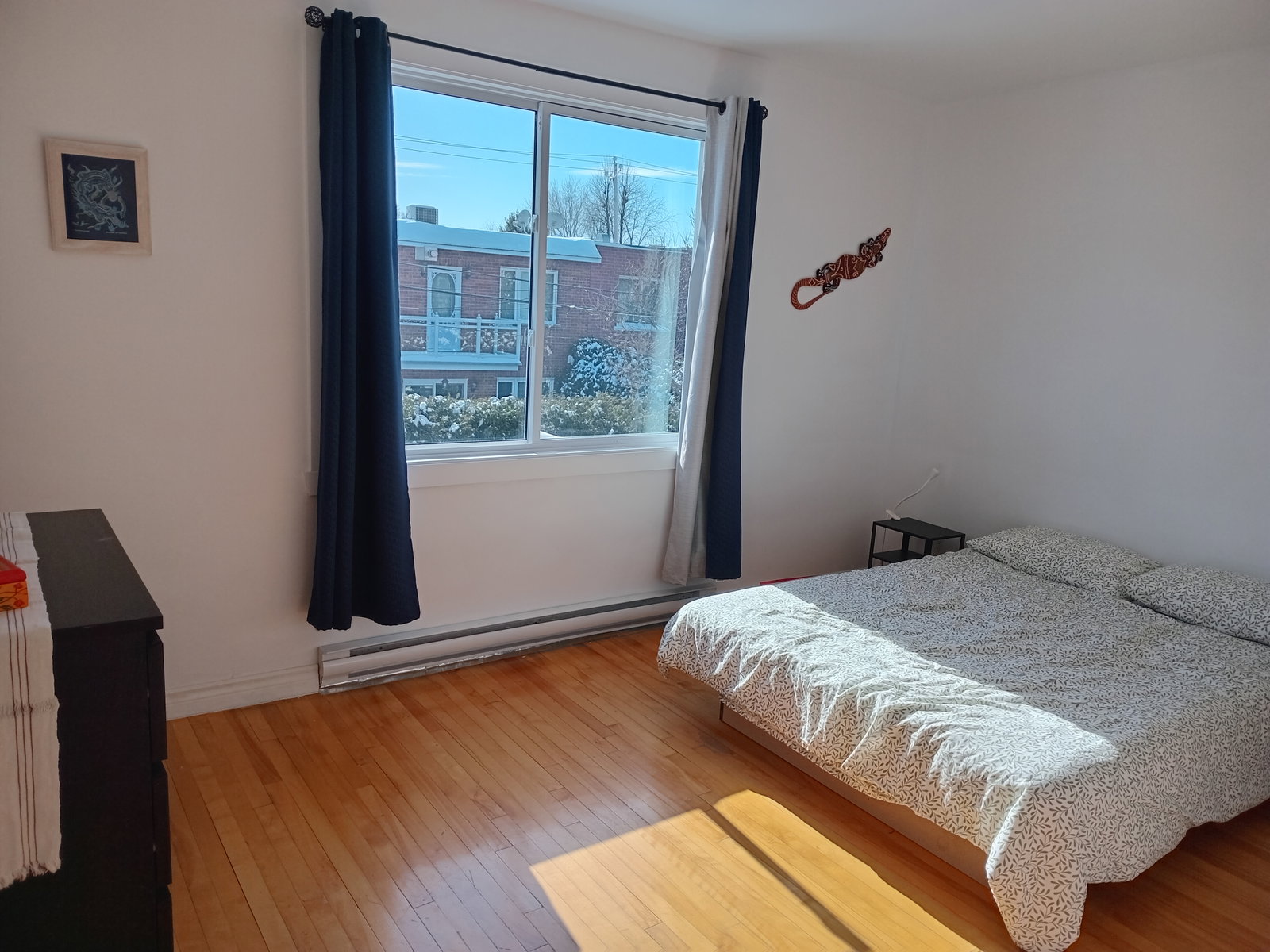 Coliving Montréal 668272