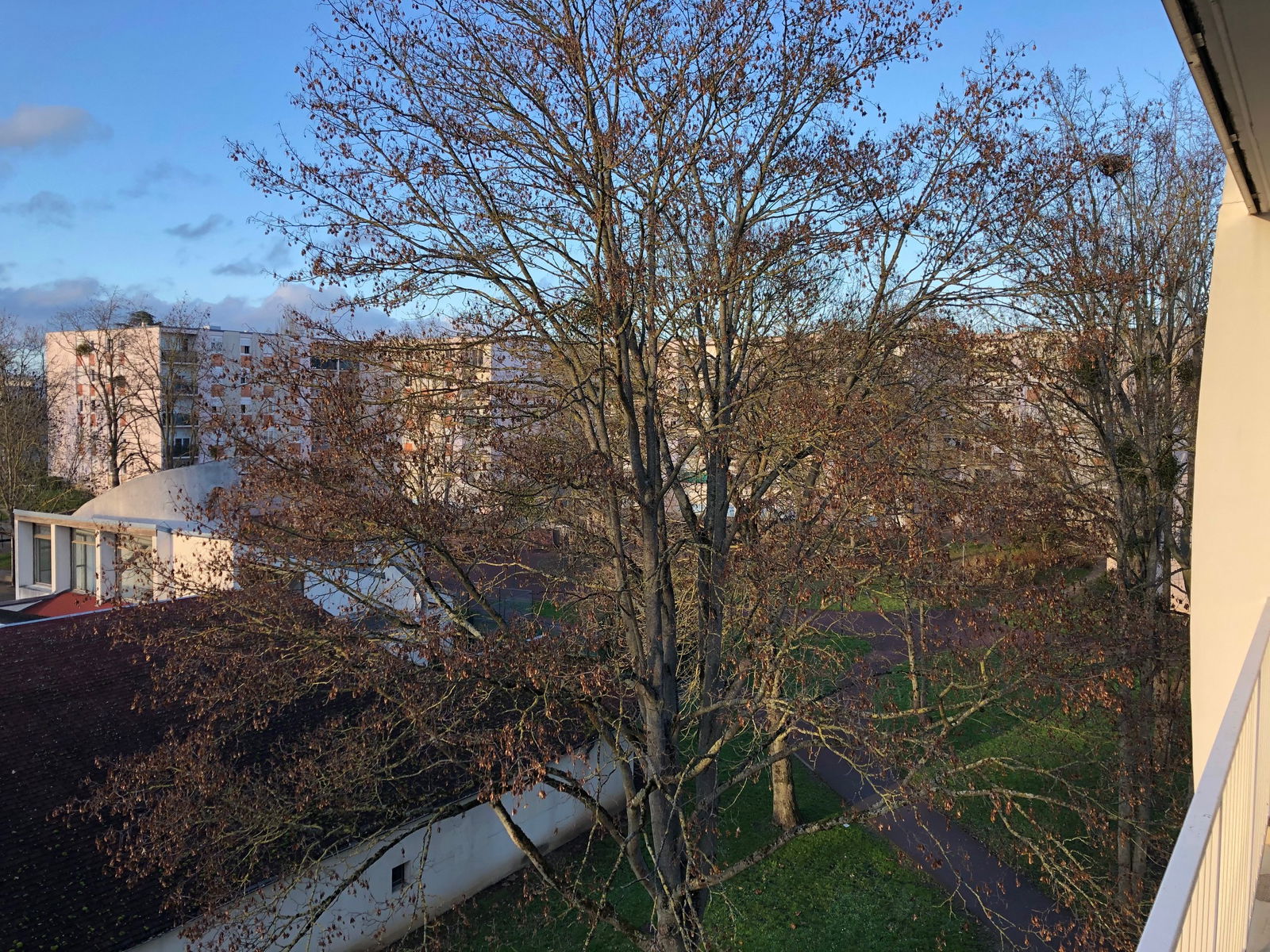 Colocation Cergy 244456