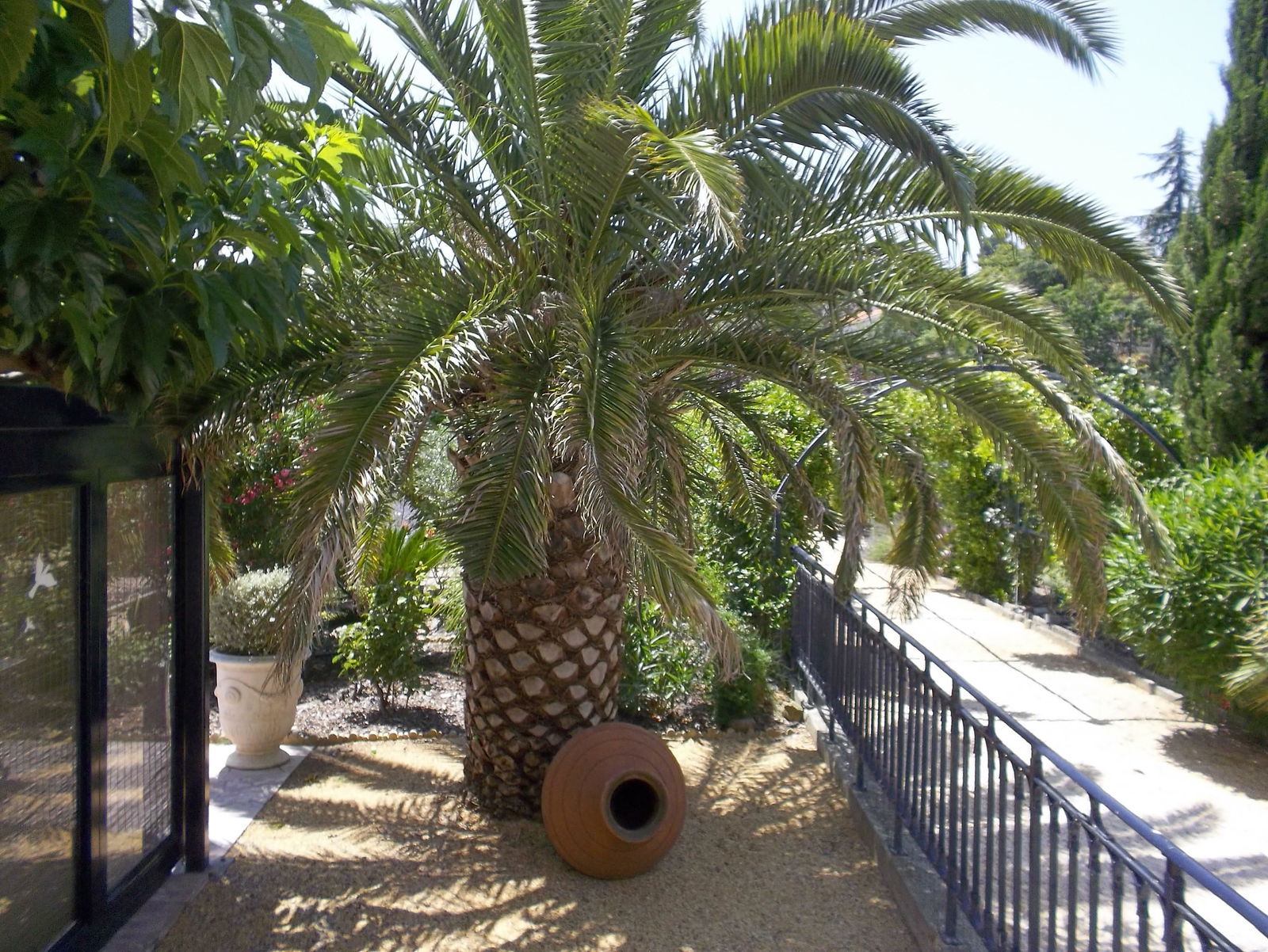 Camere Per Gli Ospiti Caunes-Minervois 96747