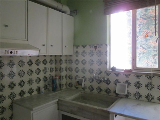 Kolokasie Athènes 19249