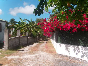 Chambre À Louer Saint-François 338567