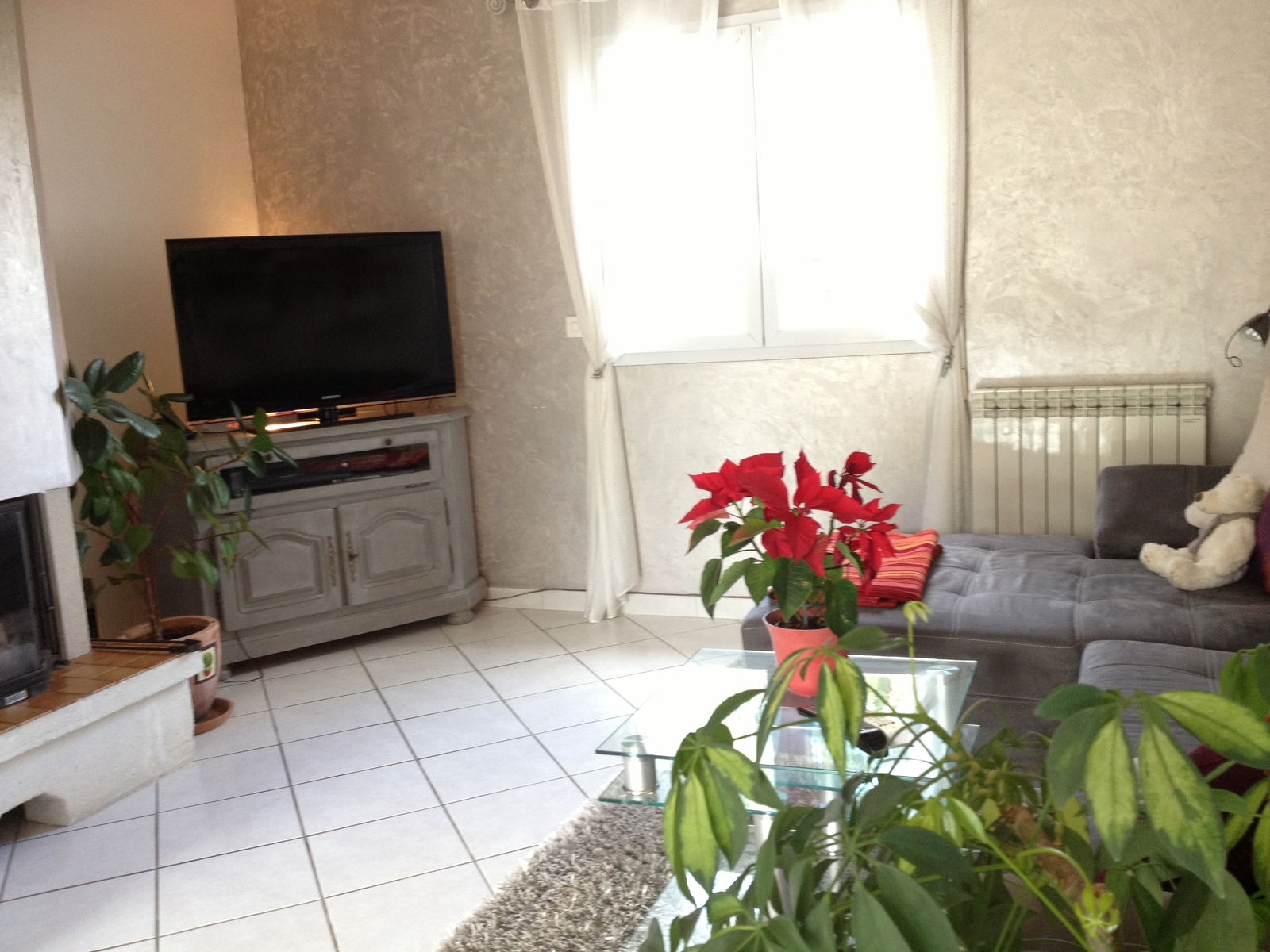 Homestay Tarnos 129885
