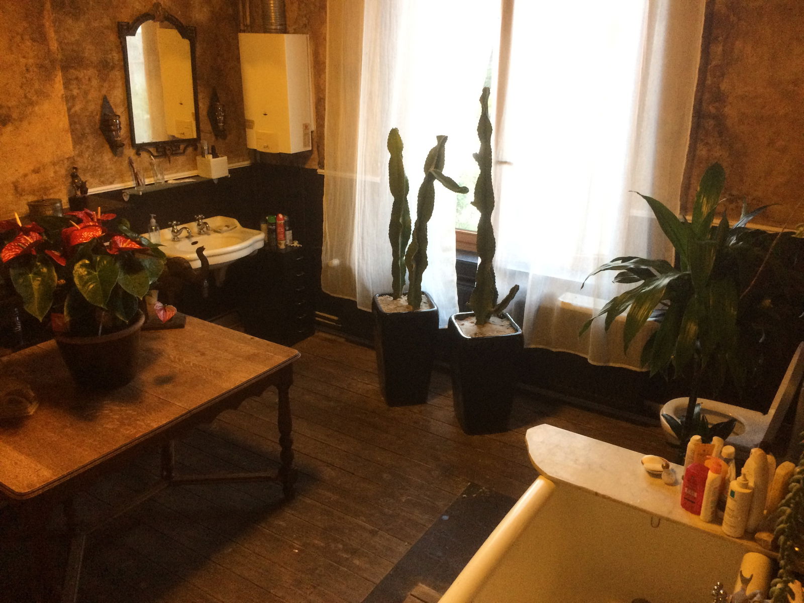 Colocation Ixelles 108851