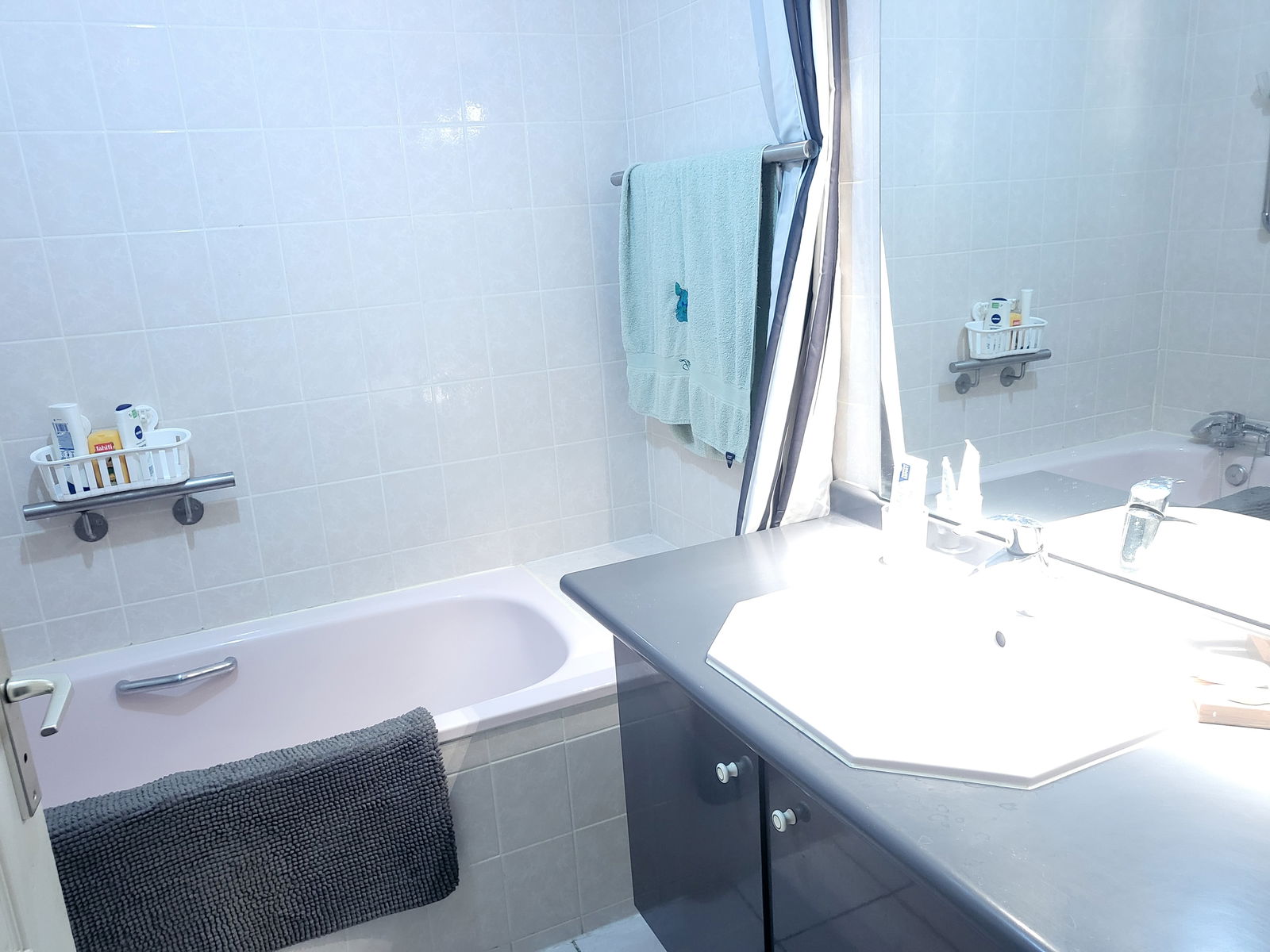 Homestay Ferney-Voltaire 336338