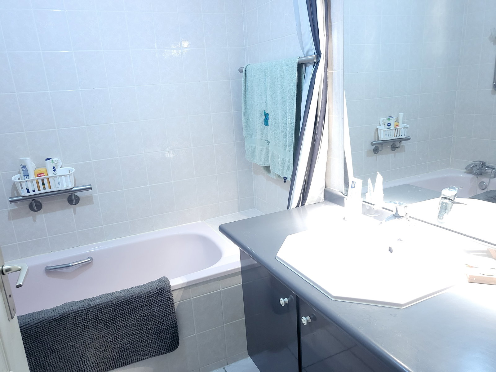 Homestay Ferney-Voltaire 336338