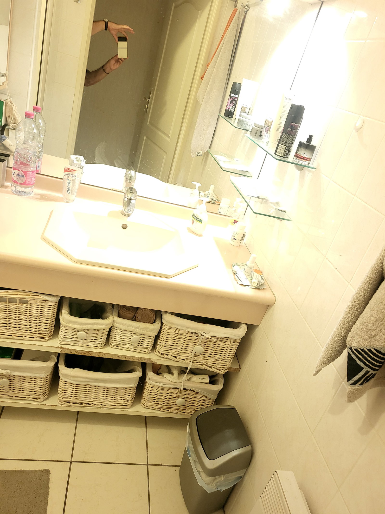 Homestay Ferney-Voltaire 336338