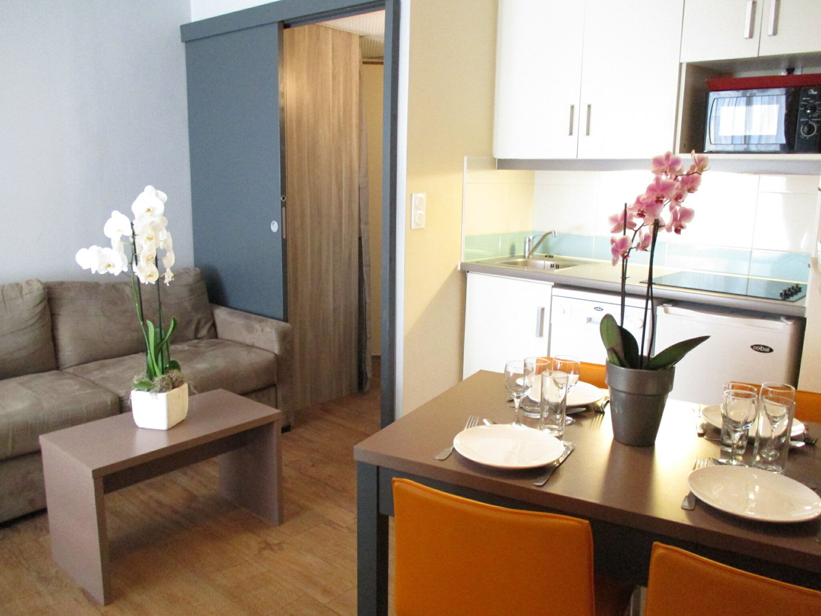 Colocation Cannes 239344