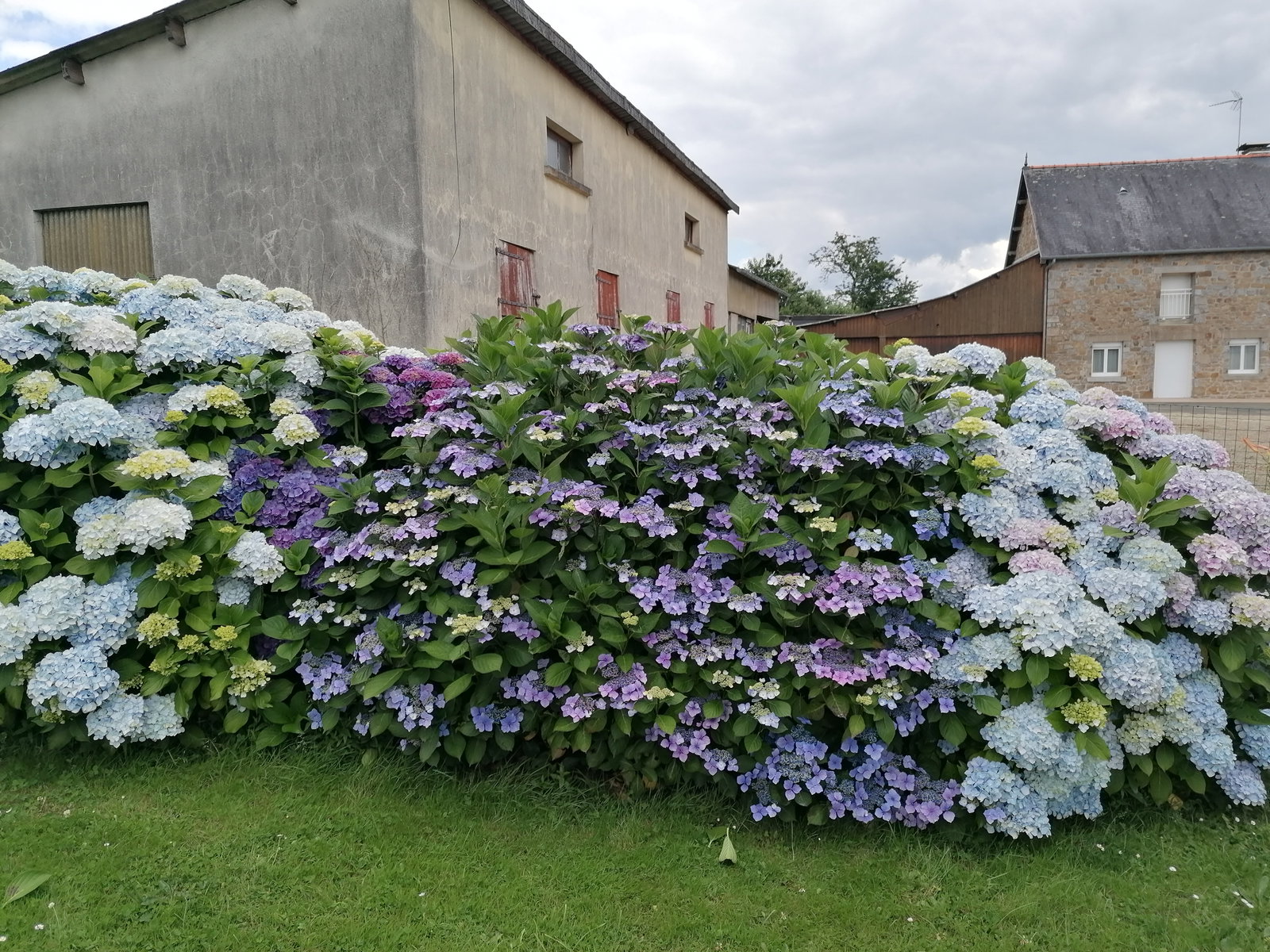 Chambre Chez L'habitant Grandparigny 662376