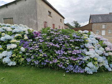 Homestay to rent in Grandparigny - photo 7-7