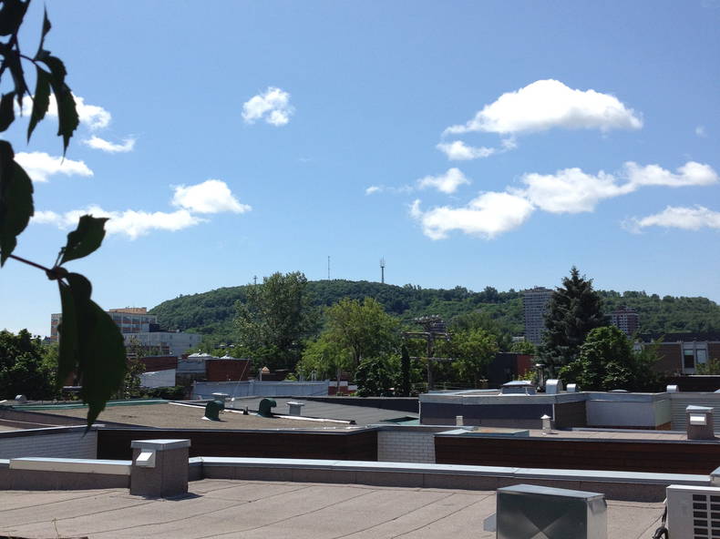 Colocation Montréal 116234-1