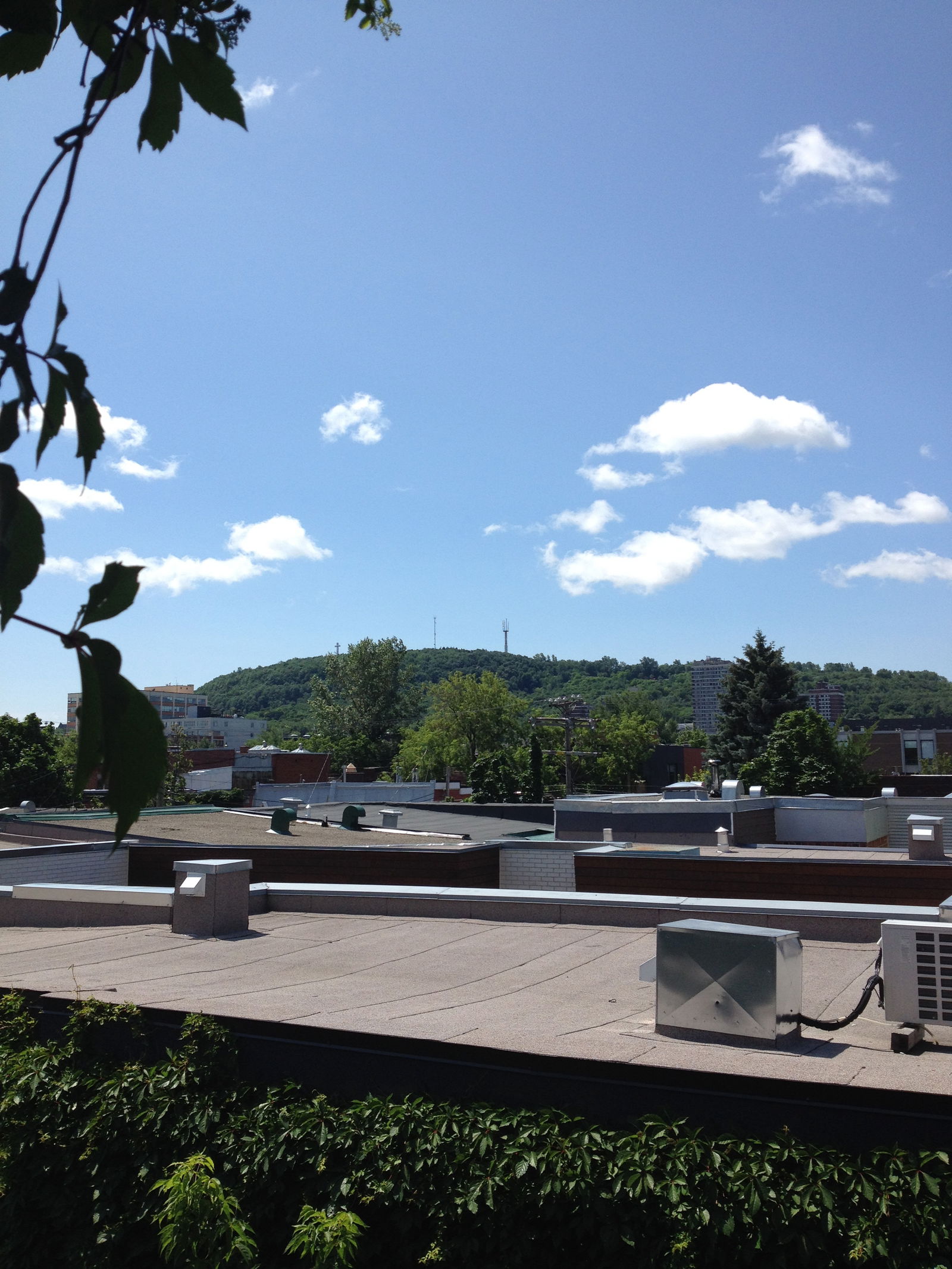 Colocation Montréal 116234