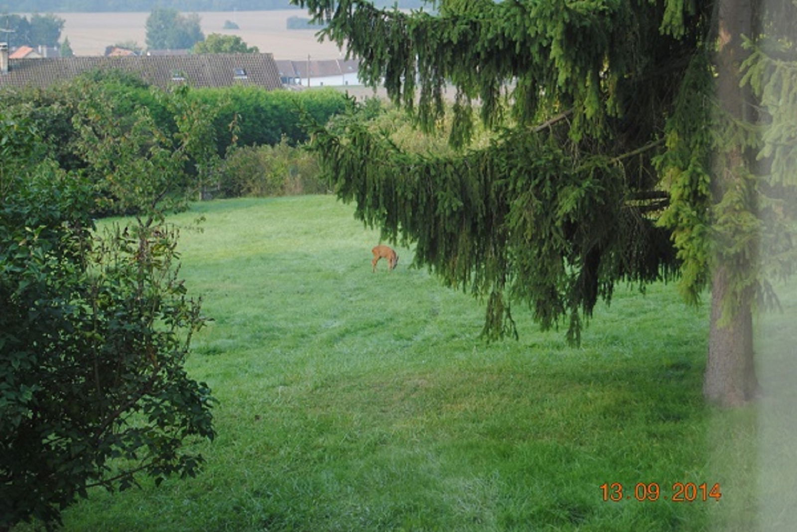 Entire Home Orly-sur-Morin 124667