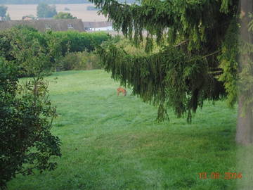 Logement Entier Orly-Sur-Morin 124667-6