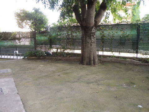 Toda La Casa Afa 45626-2