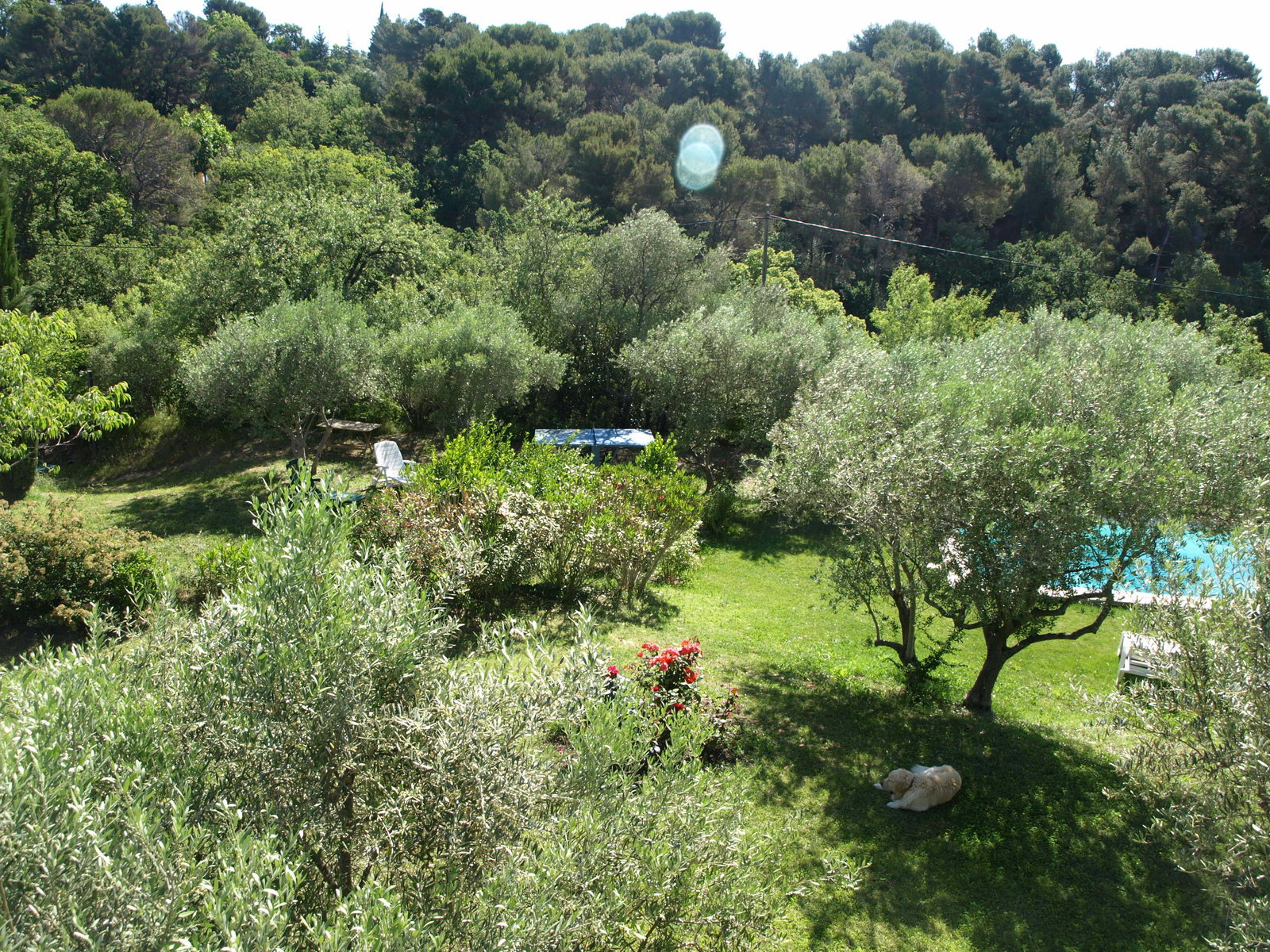 Colocation Aix-en-Provence 83061