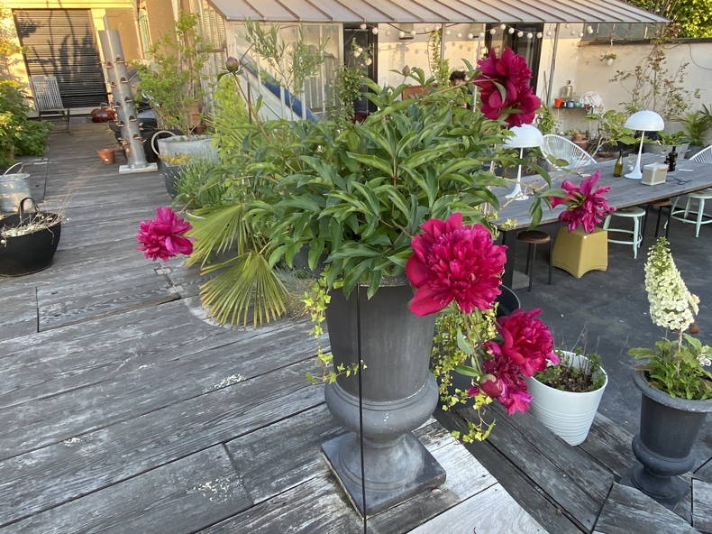 Gehele Woning L'Île-Saint-Denis 204794-2