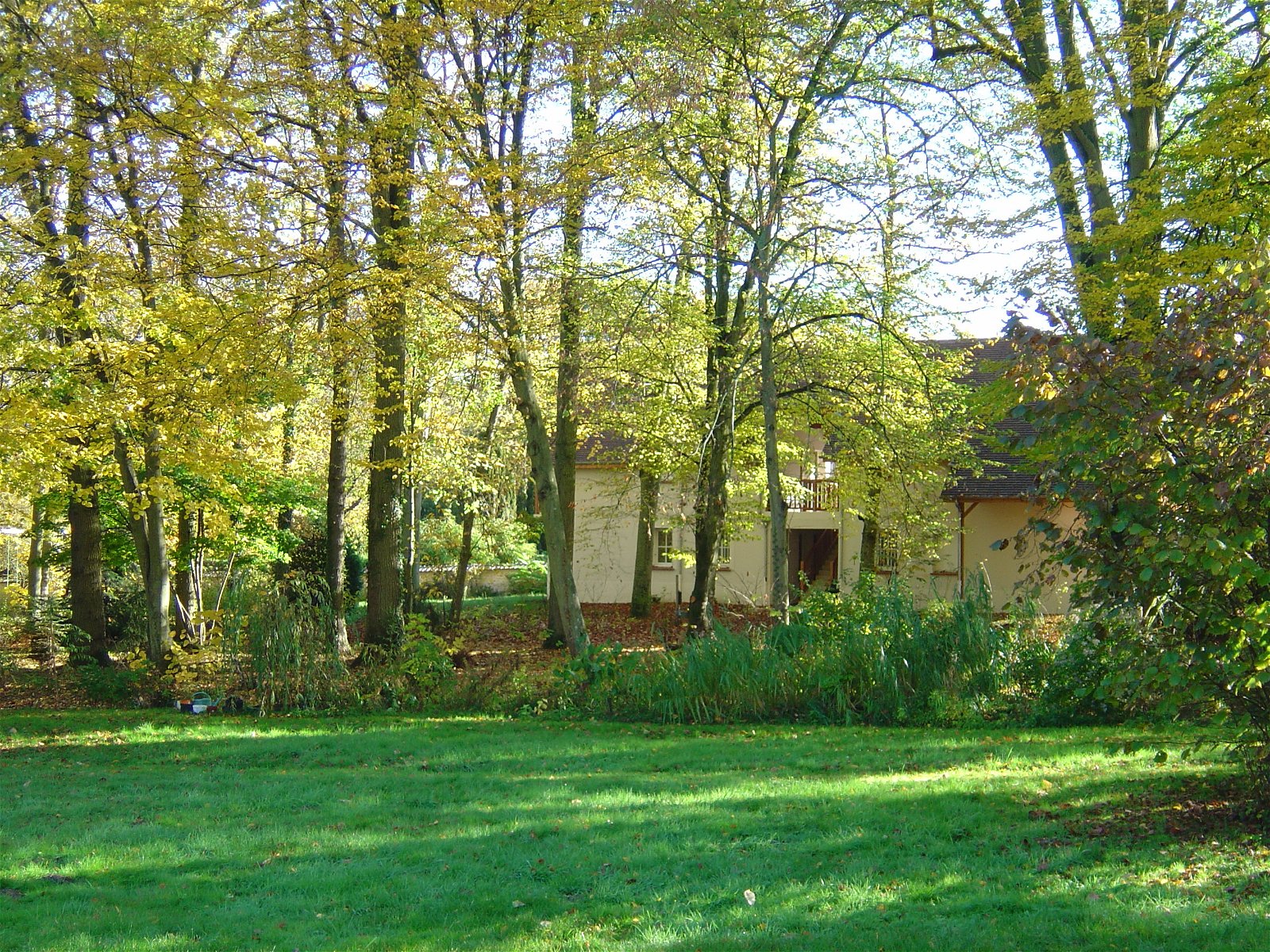 Chambres D'hôtes Bois-le-Roi 66133