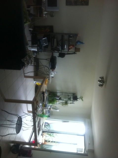 Colocatie Toulouse 52462