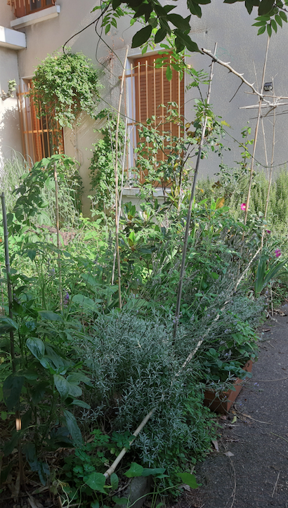 Tuisverblyf Bron 252503