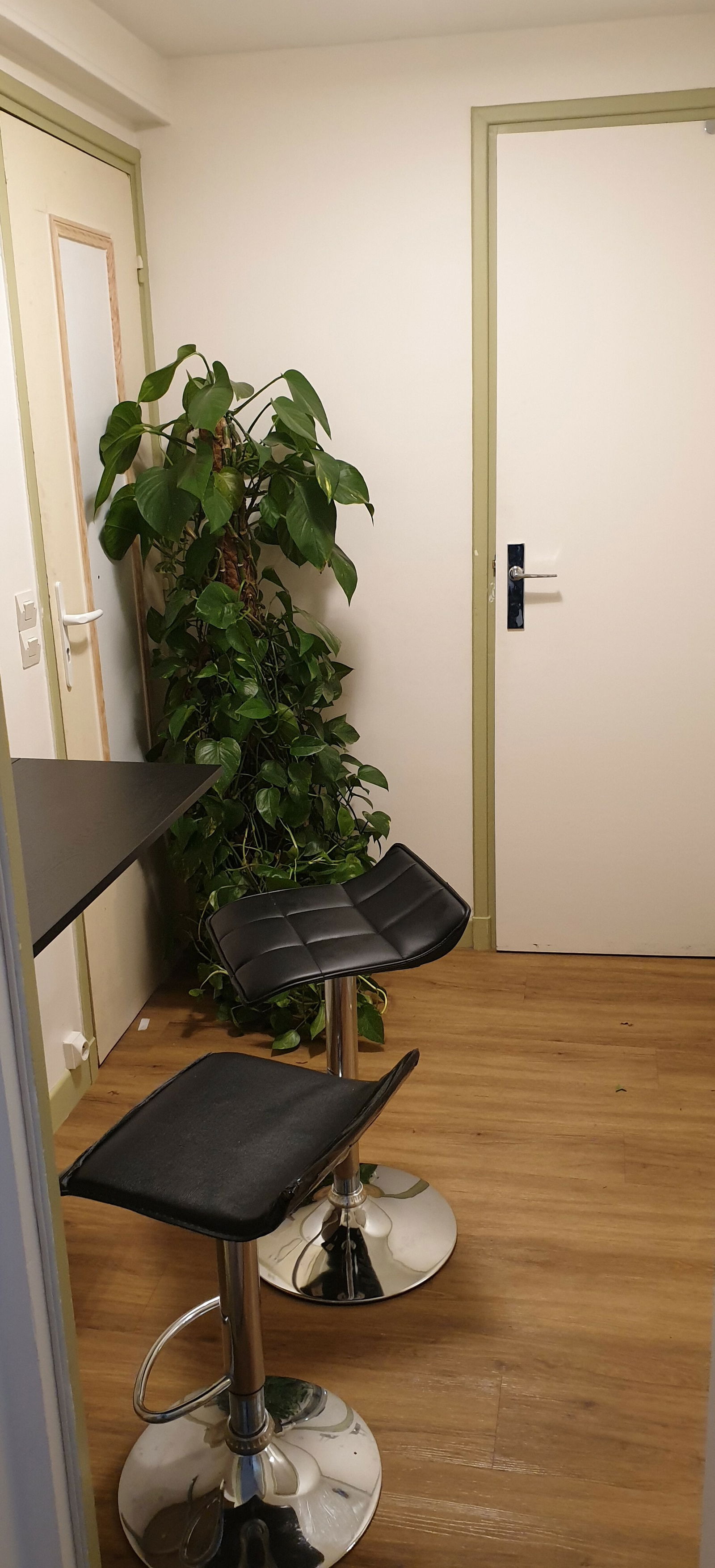 Colocatie Orsay 245124