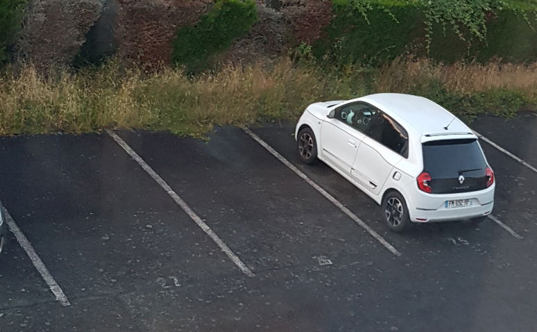 Estudio Independiente Cholet 266194