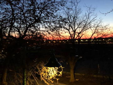 Colocation Montréal 633267-16