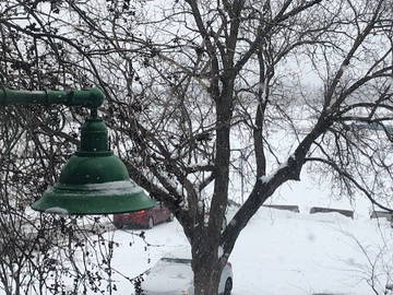 Colocation Montréal 633267-17