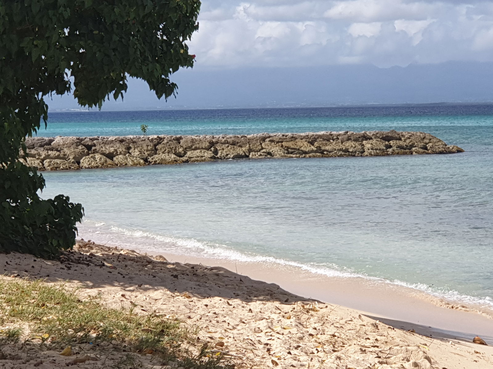 Estudio Independiente Port-Louis 170283