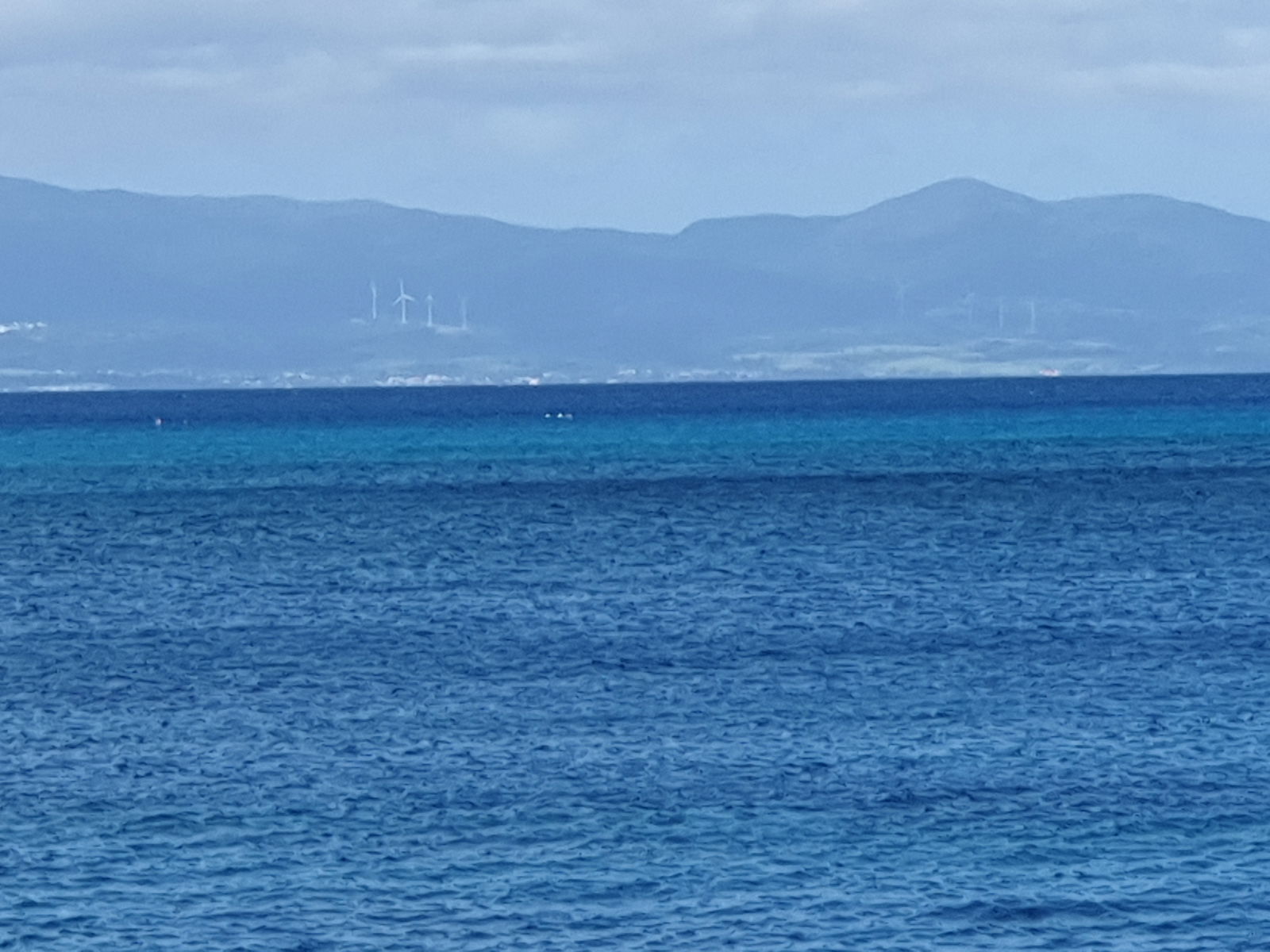 Estudio Independiente Port-Louis 170283