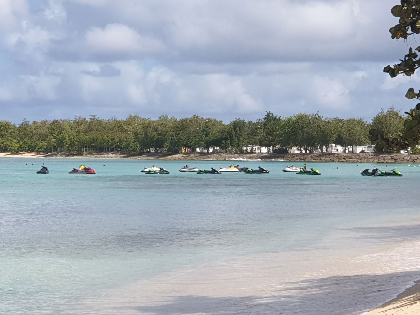 Estudio Independiente Port-Louis 170283