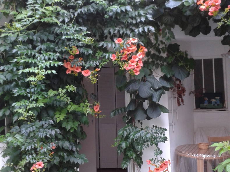 Homestay Vichy 141181-2