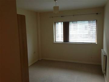 Room For Rent Brighton 252862