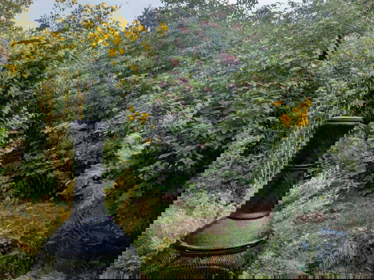 Colocatie Kitchener 635518