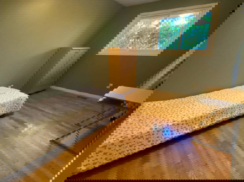 Kolokasie Kitchener 635518-2