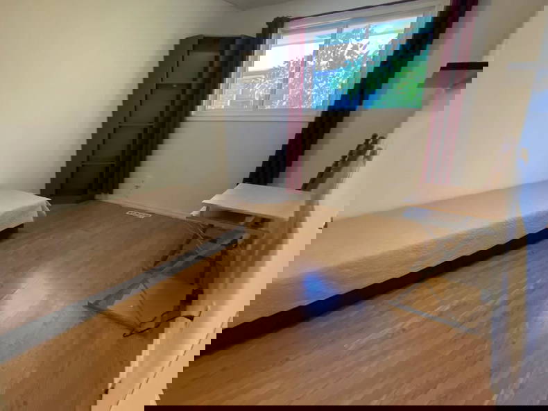 Kolokasie Kitchener 635518-3