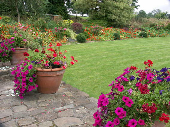 Cały Dom Morigny 181591-5