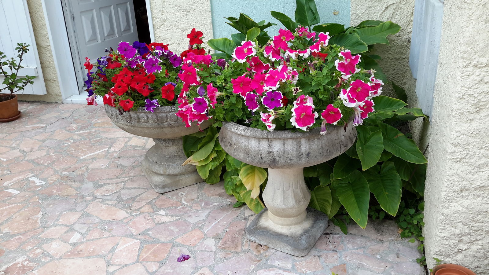 Hospedagem Em Casa De Família Villers-Saint-Paul 147784