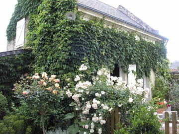 Logement Entier Beaumont-En-Véron 238253-8