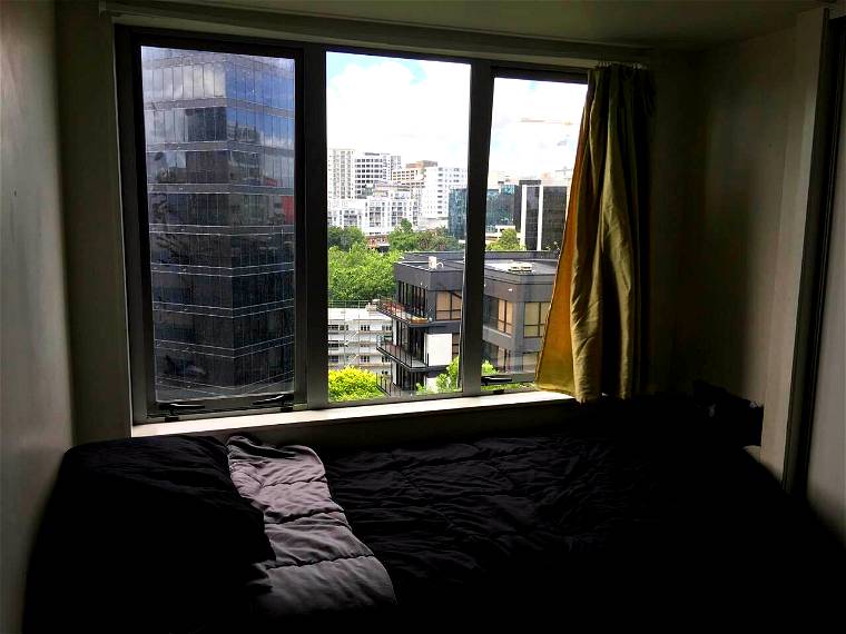 Homestay Auckland 154493-1