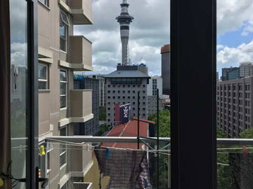 Chambre À Louer Auckland 154493