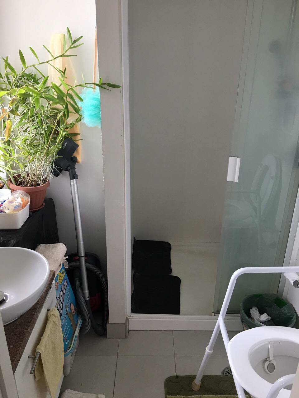 Quedarse En Casa Auckland 154493