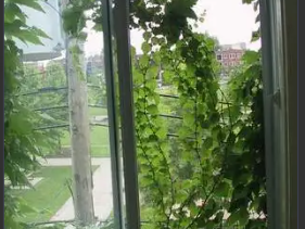 Tuisverblyf Montréal 347042-2