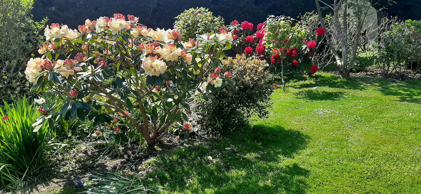 Tutta La Casa Plourivo 143149