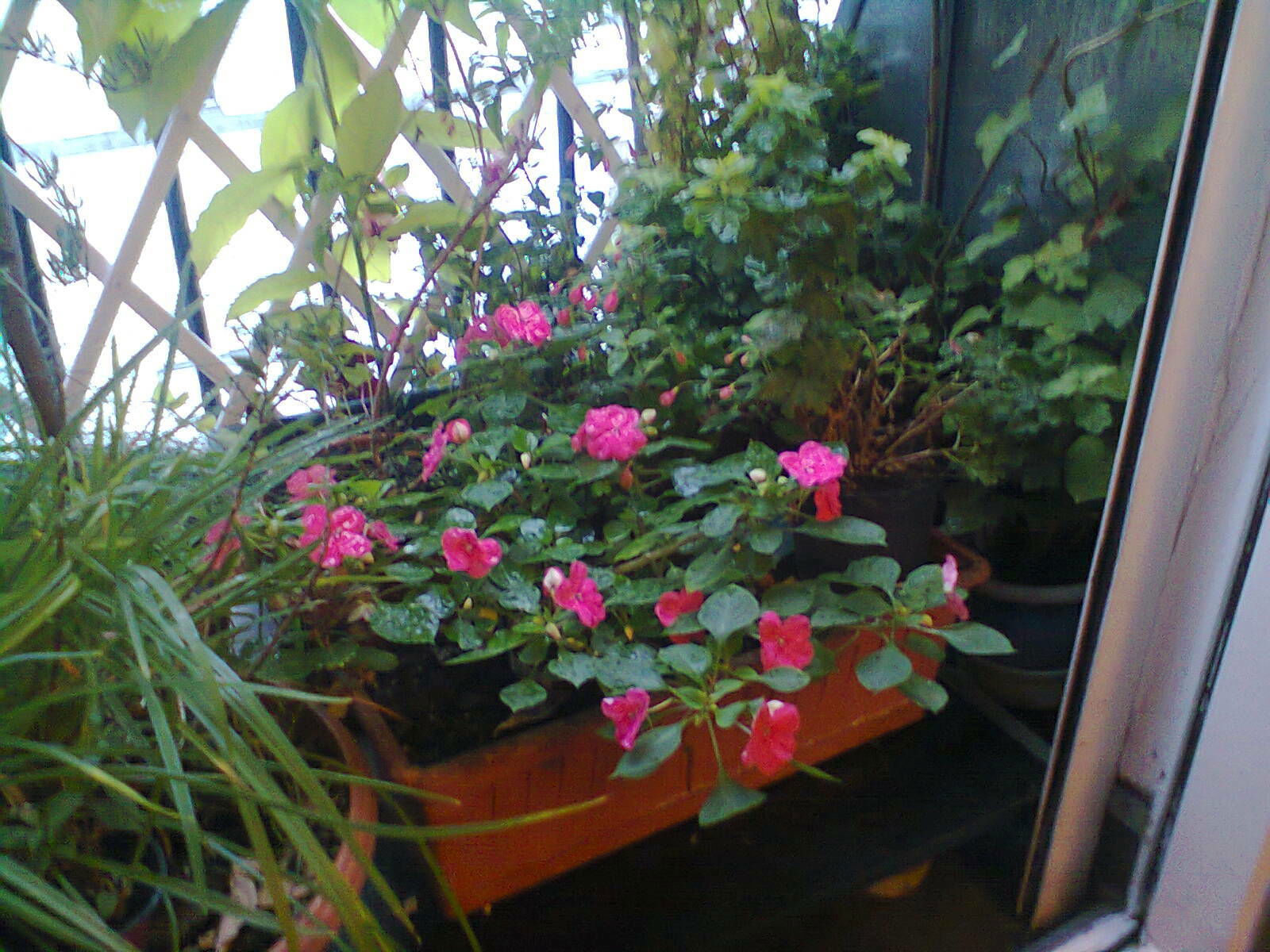 Homestay Paris 24514