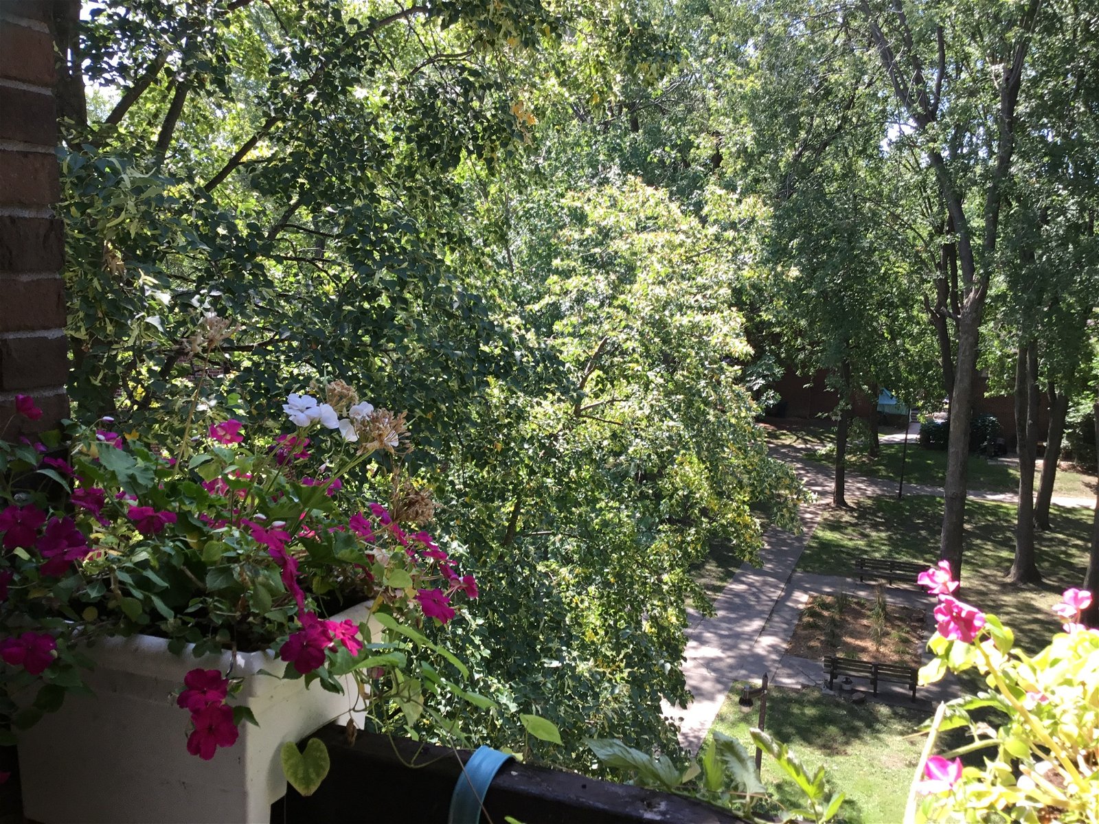 Chambre Chez L'habitant Montréal 264480